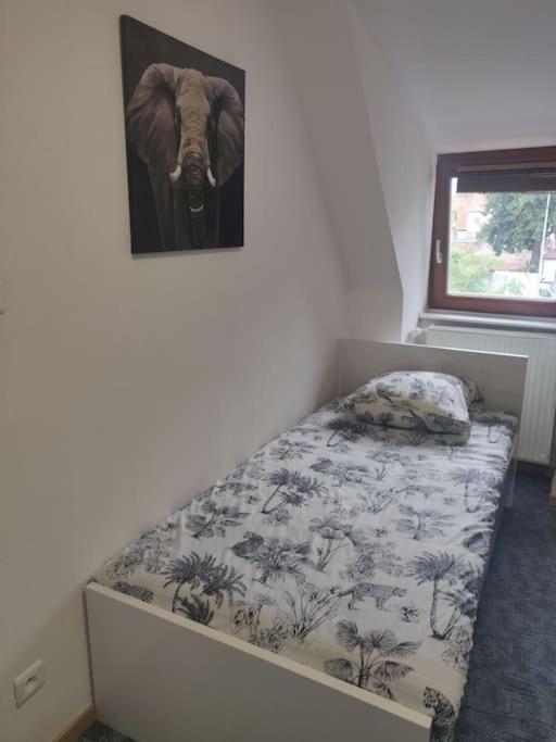 Tres Bel Appart Charmant 85M2 Parking Gratuit Molsheim Exterior foto